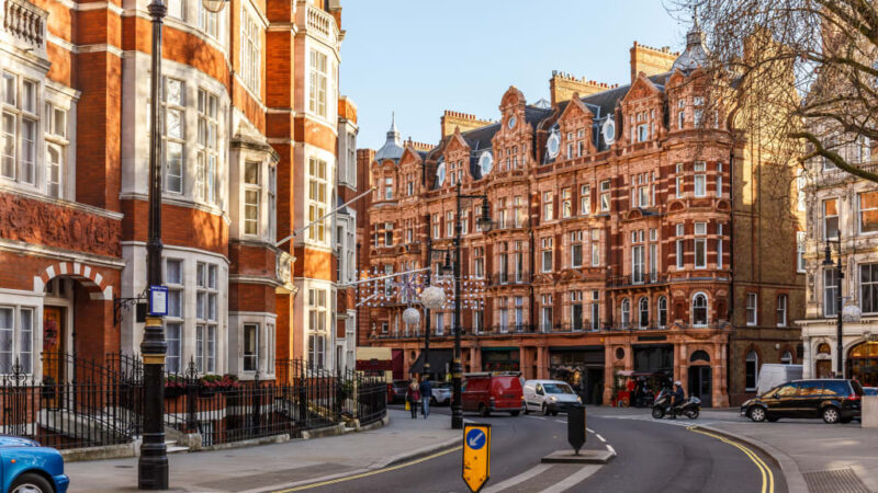 Central London residential street pest control