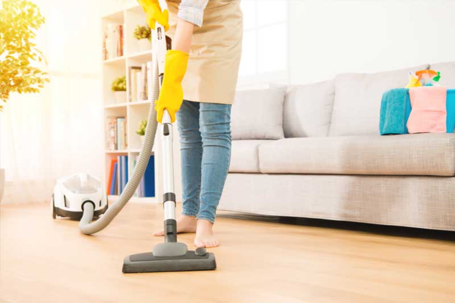 Why Do I Have Mice If My Home Is Spotless?