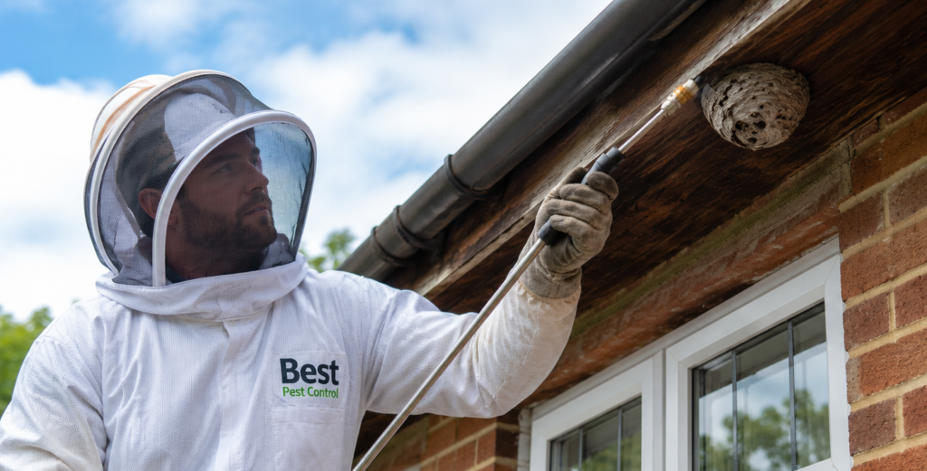 pest control technician wasp nest removal roof eaves London
