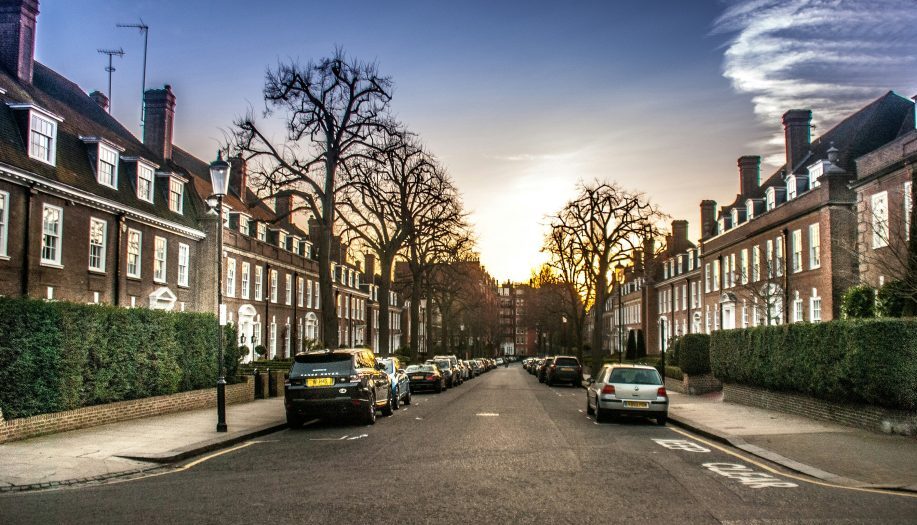 South West London residential street pest control