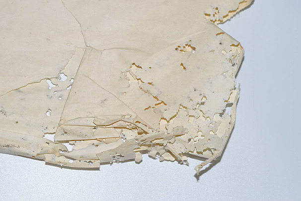 silverfish infested-paper evidence of damage on vinyl envelopes